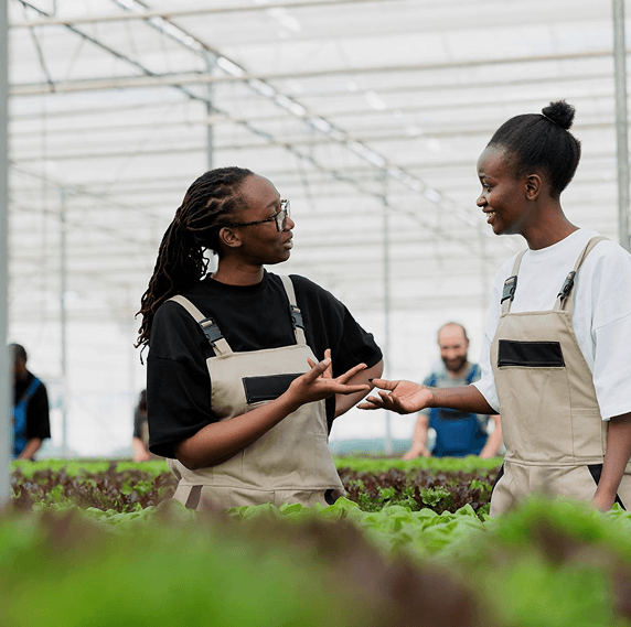 Two farmers discussing in greenhouse