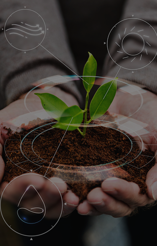Sustainable Farming