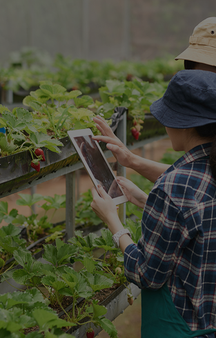 Farm To Fork Agri Tech