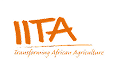 Partner logo iita
