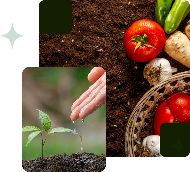 Agricultural waste to energy solution